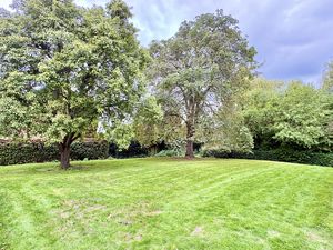 Communal Gardens- click for photo gallery